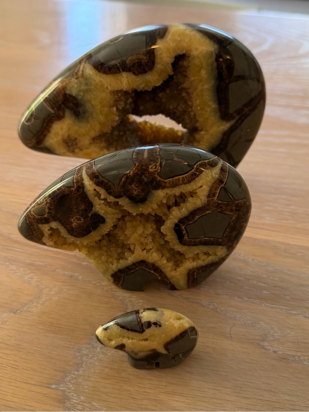 Septarian Nodule Bear family Carved Dragon
Stone Crystal sculpture